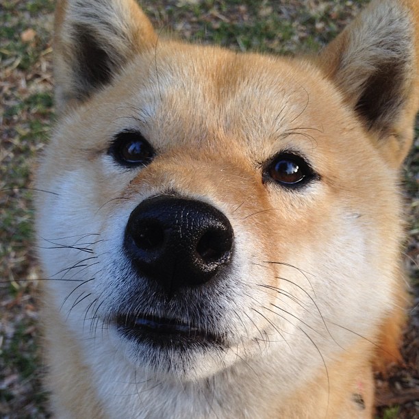 Kaiyun APP-赛季奖金分配：不同联赛差异化分析，联赛各段位奖励