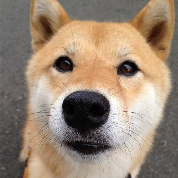 开yun体育-中国三人篮球男队提高比赛节奏，中国三人篮球男队战绩